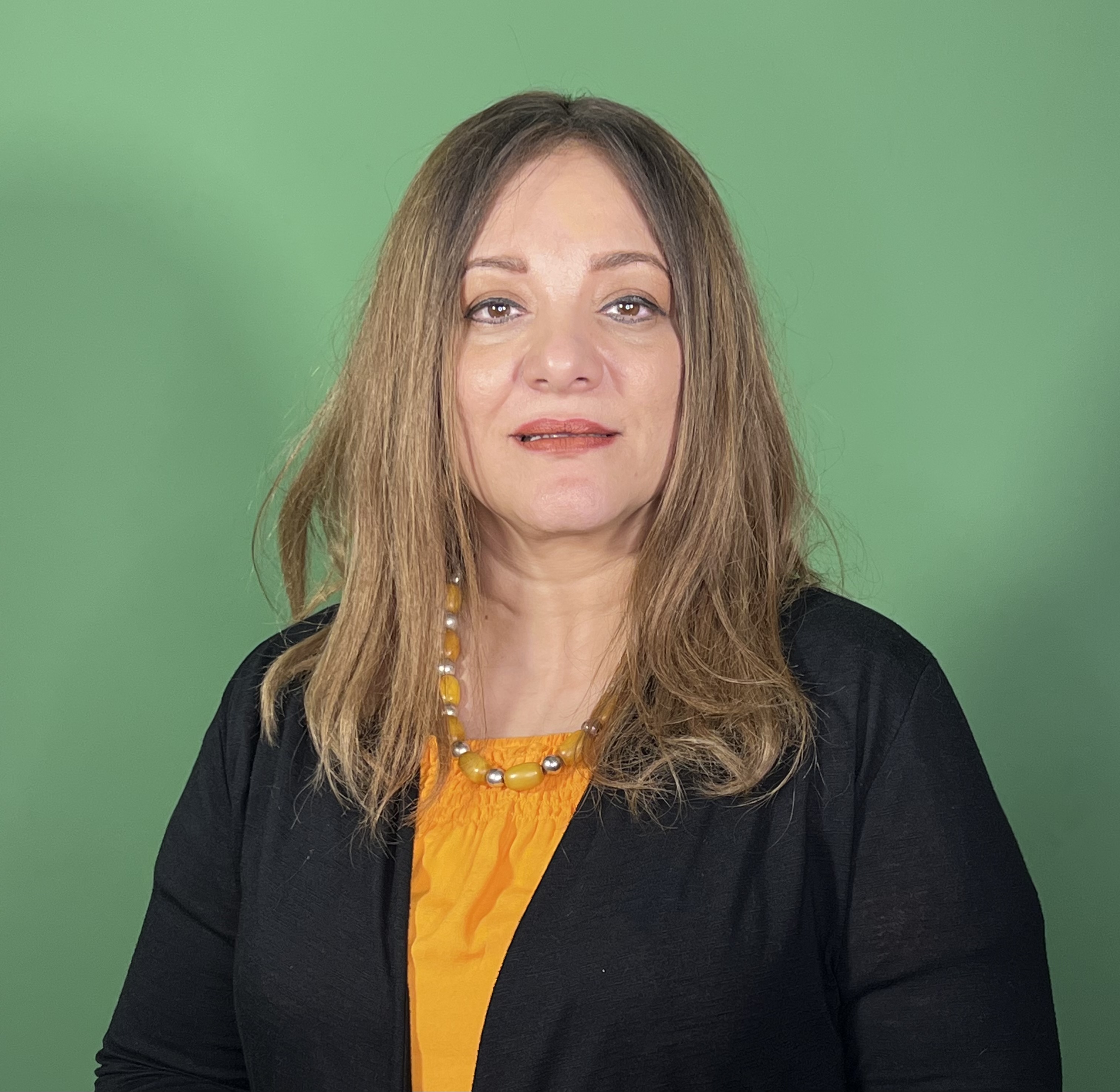 Director - Hanan Elshimy